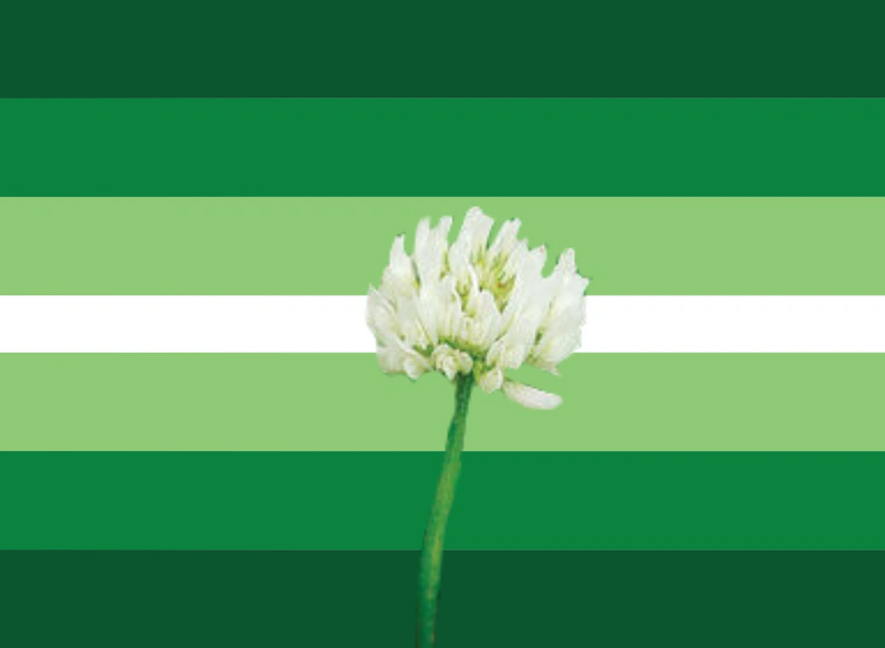File:Whiteclovergender.png
