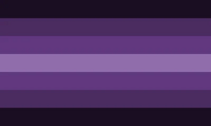 Invipurplecatrooftop Alt.jpg