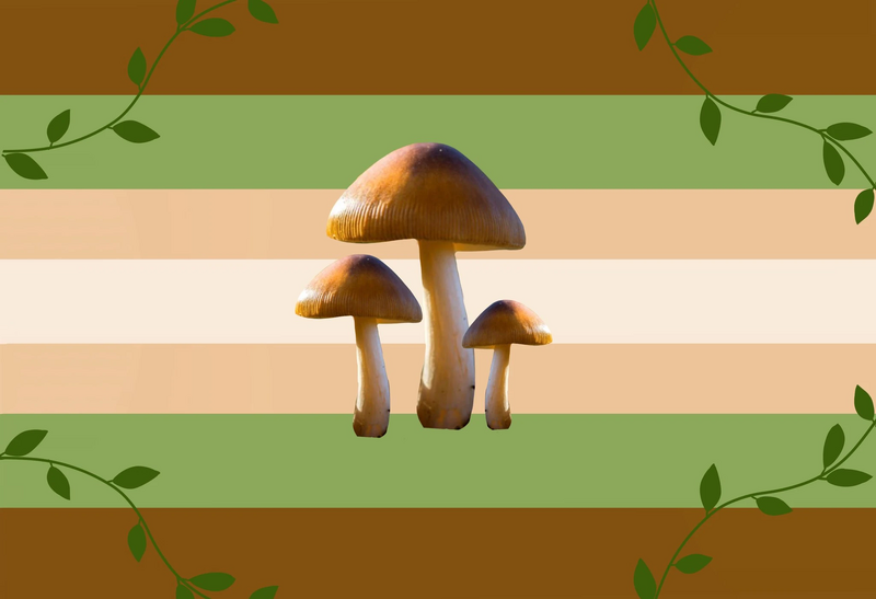 File:Mushroomgender flag seven.jpg