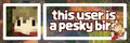 this user is a pesky bird