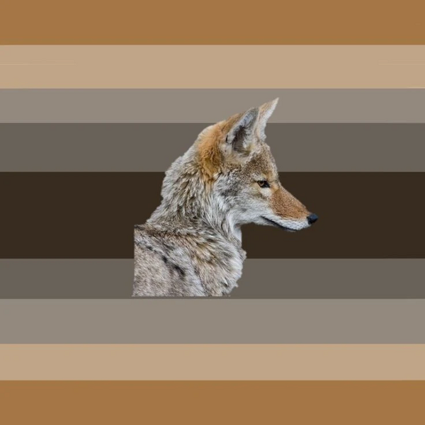 File:Coyotegender Alt.jpg