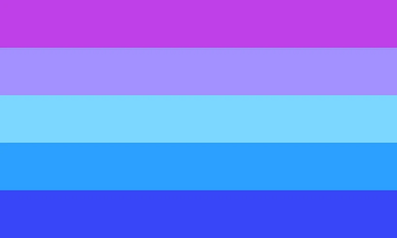 File:Transmasc flag 15.jpg