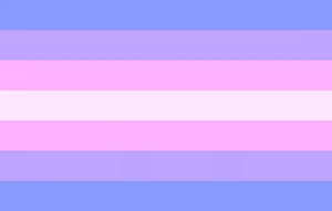 Transfeminine flag10.jpg