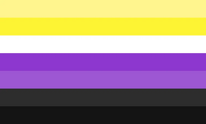 Nonbinaryflagic Flag.png