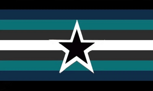 Rainvoidic flag.webp