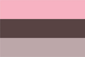 Transfem flag24.jpg
