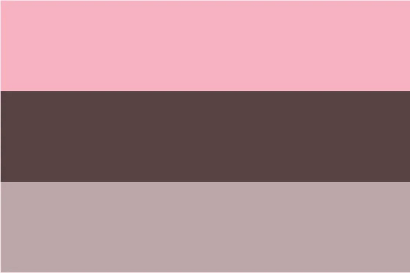 File:Transfem flag24.jpg