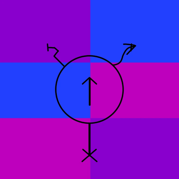 File:Neoboyflux flag.webp