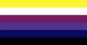 Viabinary Spectrum Flag.webp