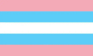 Transsex flag.webp