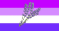 Lavendergender Flag by Tumblr user pearlgender[1]