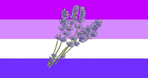 Lavendergender flag.png