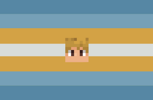 Solidaritycharic flag