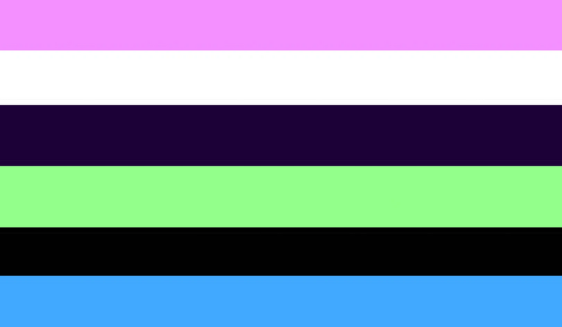 File:Concegender Flag.png