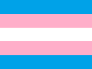 Trans Pride Flag.png