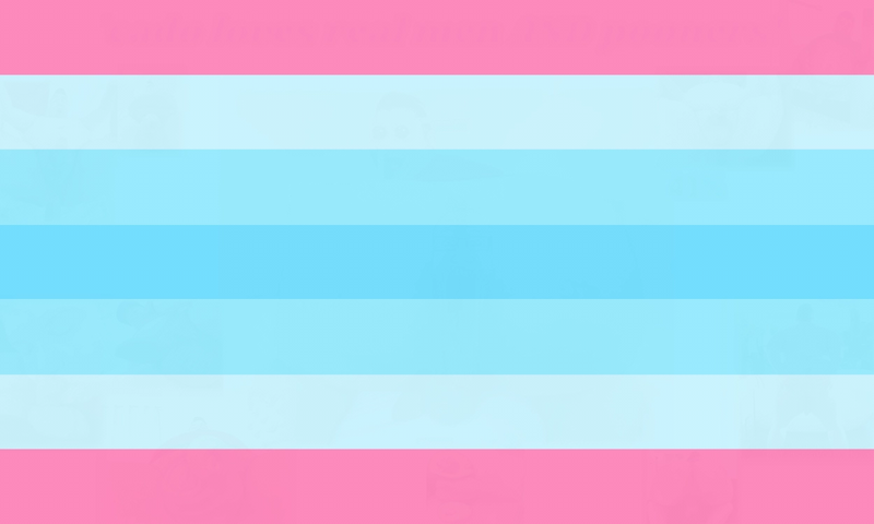 File:Alternate transmasc flag.webp