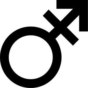 Androgyny symbol (bold).png