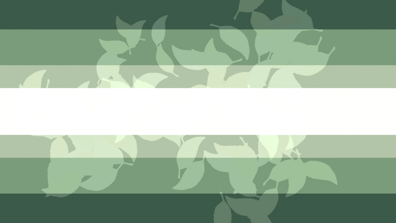 File:Dappledgenderflag .png