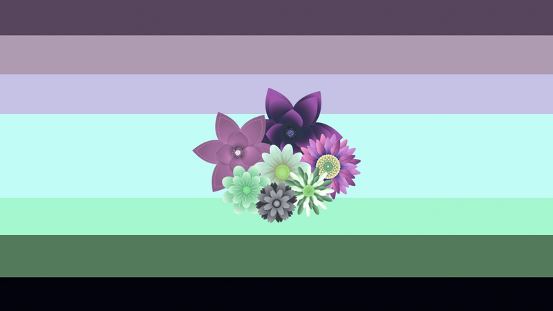 File:Mixtegender flag.png