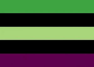 Alt AroaceAgender Flag.jpg