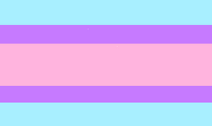 My idea of the mirrorgender flag.png