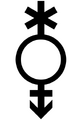 Realigned Pangender Symbol by Tumblr user imoga-pride[20][21]