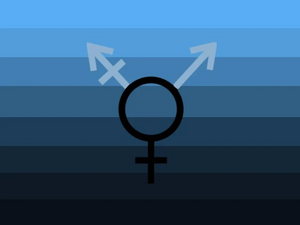 Transmasc flag 33.jpg