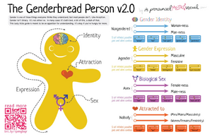 Genderbread-2.1 from itspronouncedmetrosexualdotcom.jpg