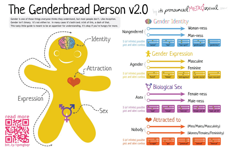 File:Genderbread-2.1 from itspronouncedmetrosexualdotcom.jpg