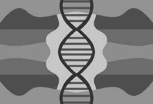 Gendergenius Flag.jpg