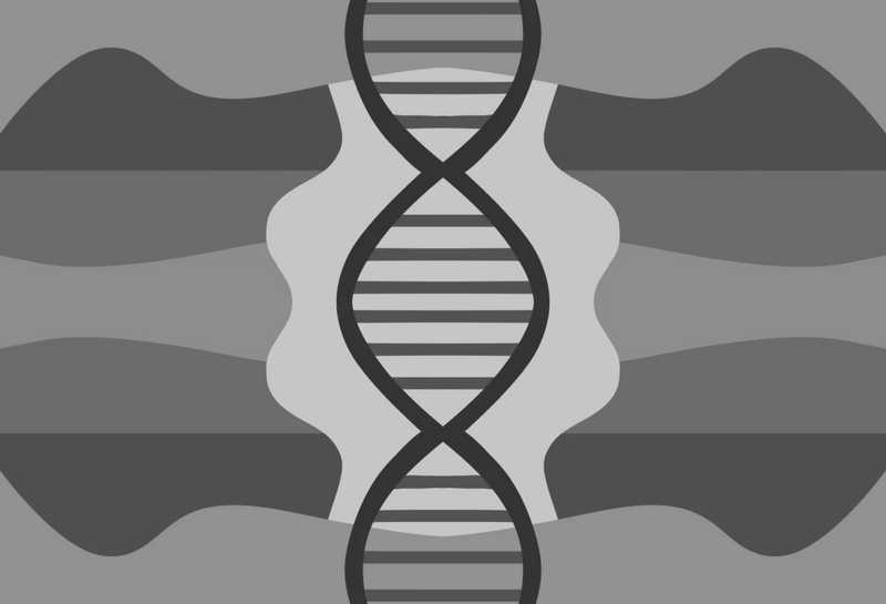 File:Gendergenius Flag.jpg