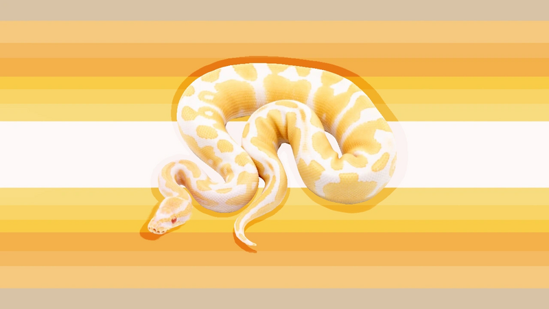 File:Sillylilgooberflag-).png