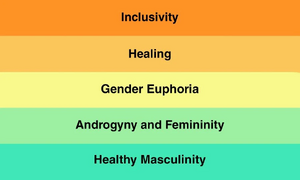 Transmasc flag 21 meanings.jpg