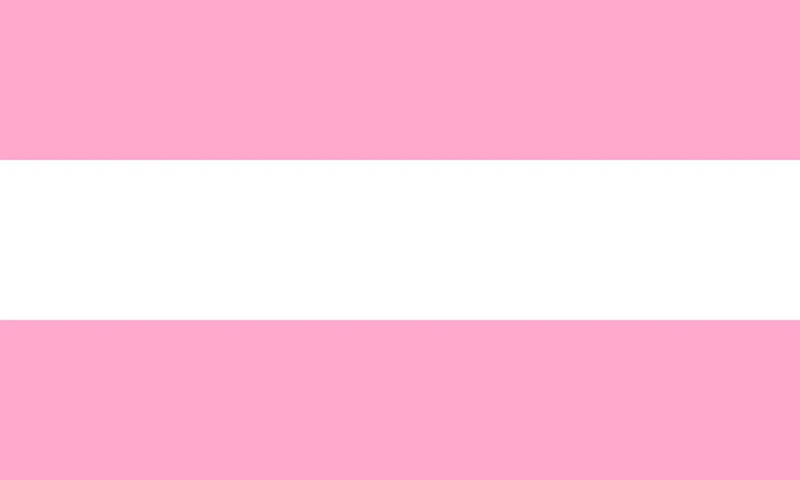 File:(5) Alternative Demigirl Flag.jpg