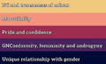 Meanings of XenicLuvs's solar transmasculine flag[43]