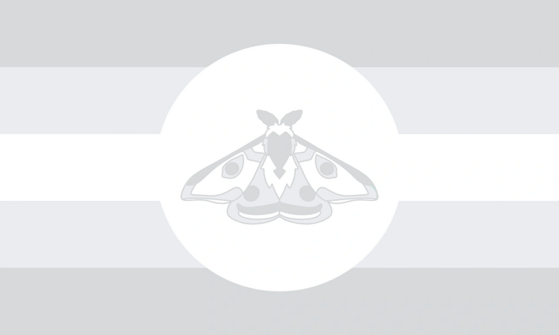 File:Nivpolillic flag.png