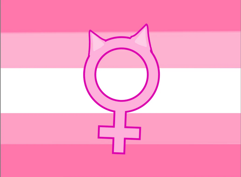 File:Catgirlgender flag.jpg