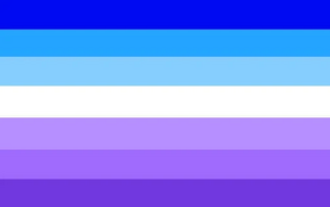 Computergender Alt.jpg