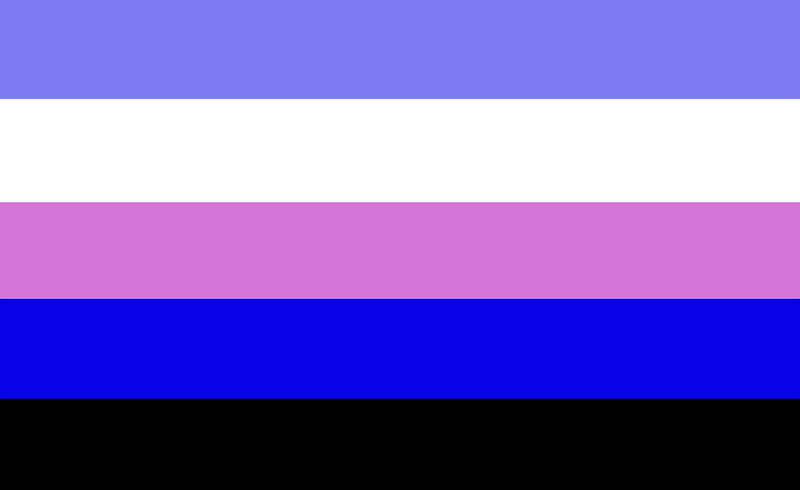 File:GenderCasualFlag.png