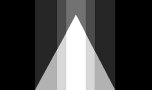 Genderspike Flag.png