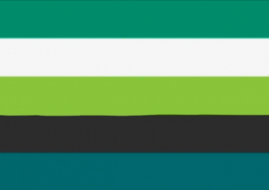 Agenderfluid dualclock.jpg