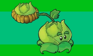 Cabbagepultgender.png