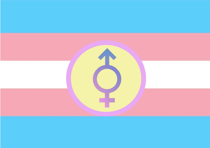 File:Trans-Intersexual Flag.png