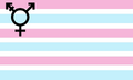 Satyrradio's transsexual flag[7]