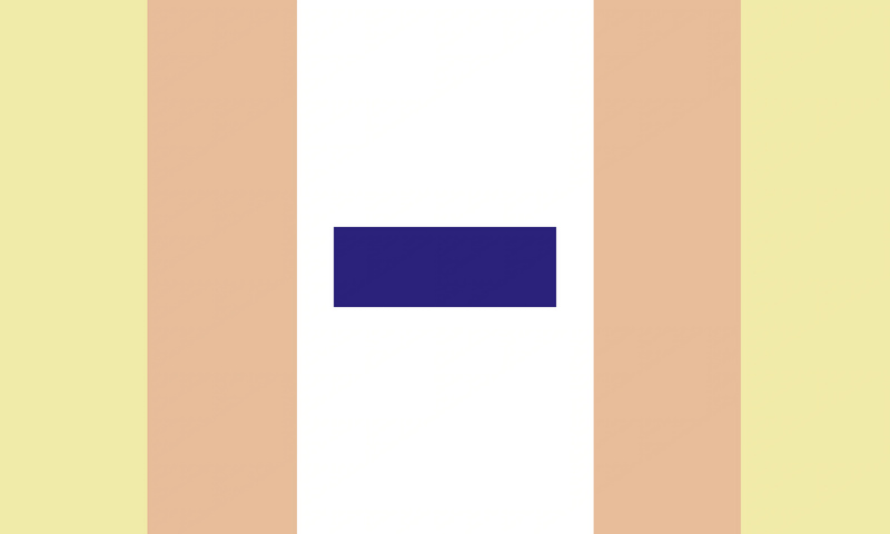 File:Antiboy flag.png