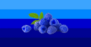 Bluerazgender flag.png