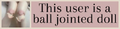This user is a ball jointed doll