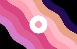 Palettegender 226.jpg