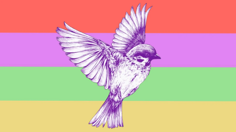 File:Sunset transandrogynous flag.jpg