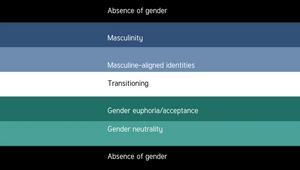 Transmasc alt flag meanings.webp